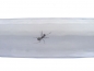 Schlauch transparent 34/28 mm