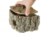 Eckh�hle Bark - 36258