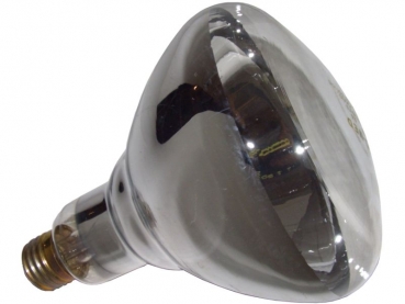 Basking Spot lamp 250 W