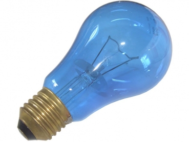 Daylight Blue - bulb 100 W