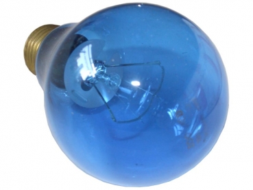 Daylight Blue - bulb 100 W
