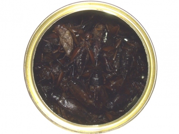 Can o' Crickets 35g - Grillen gro� 35g