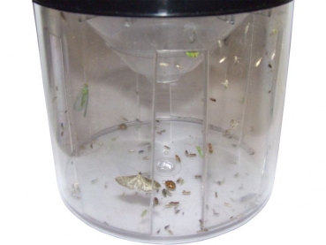 Bug Napper - Insektenf�nger
