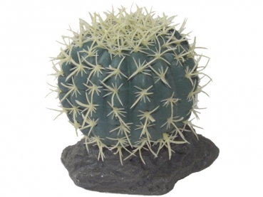Nadelkissen Kaktus