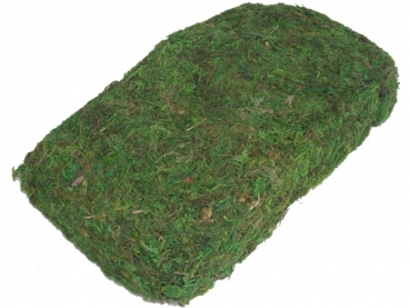 Lappenmoos, dried, colored, 4 litre
