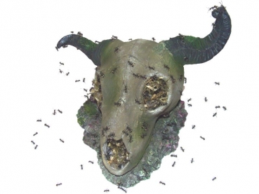 Sch�del 17 cm