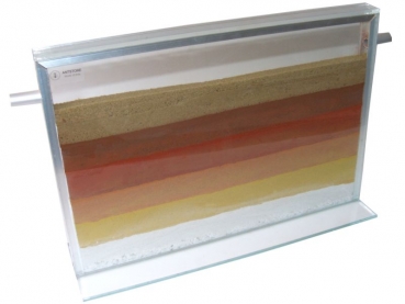 glass ant display 40x2x30cm