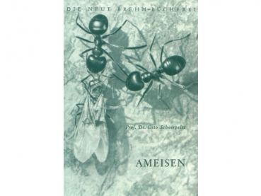 Book: Ameisen - v. Prof. Dr. Otto Scheerpeltz