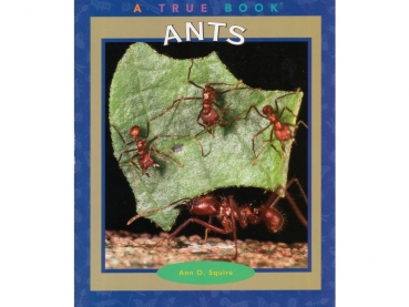 Book: True Book - Ants