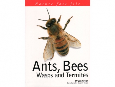 Book: Ants, Bees, Wasps and Termites