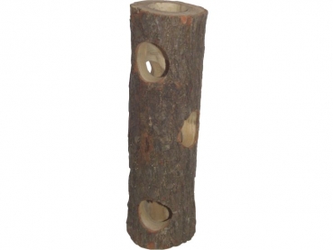 Ant Treetrunk 30 cm