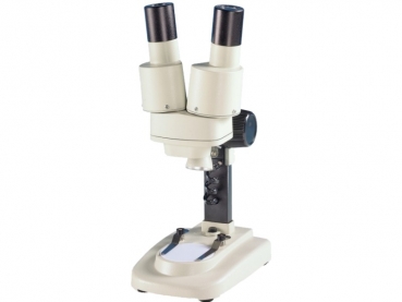 Impinging light Biolux ICD 20x