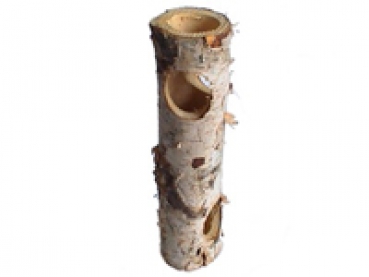 Ant Treetrunk 20 cm