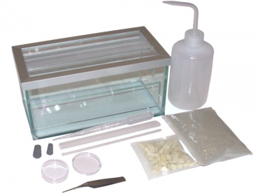 Starter Set - B