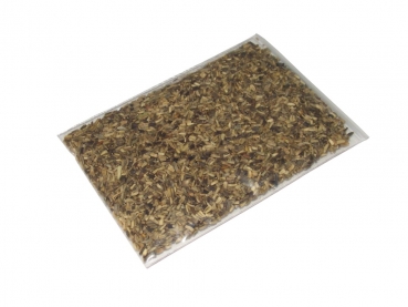 Zichorien (Cichorium intybus) 10g