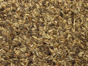 Zichorien (Cichorium intybus) 100g