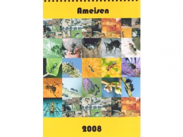 Calender: 2008 - Ameisen