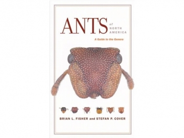 Book: Ants of North America