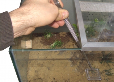tweezers 30 cm - straight