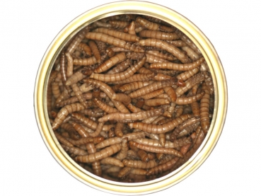 Can o' Worms 35g