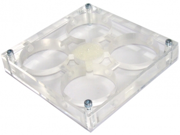 Acryl Vierkammer Nest