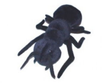 Cuddly-toy ant