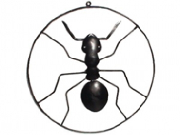 ANTSTORE Deko-picture ant in circel