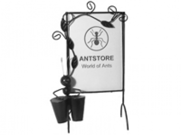 ANTSTORE Picture frame drummer