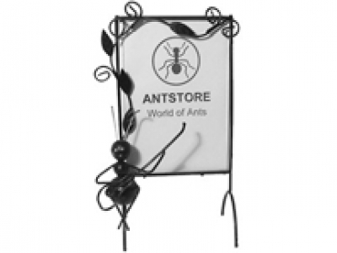 ANTSTORE Picture frame guitar