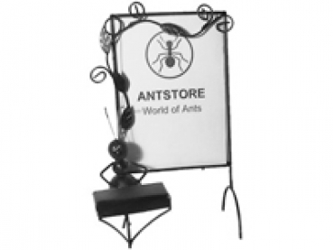 ANTSTORE Bilderrahmen Piano