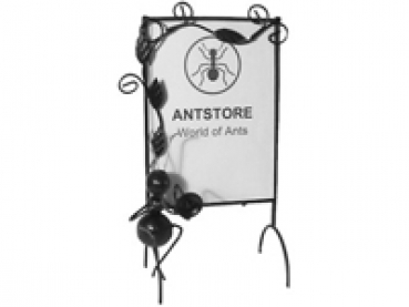 ANTSTORE Bilderrahmen Trompete