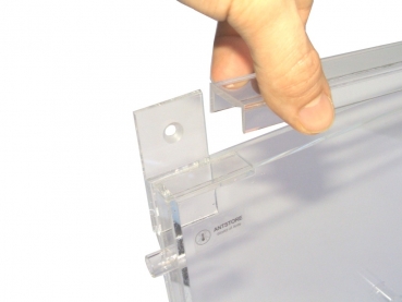 Acryl Ant Display 40x2x30 cms - wall