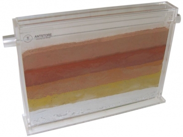 Acryl Ant Display 15x1,5x12 cms - mini
