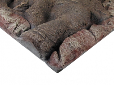 3D Motiv R�ckwand - Amazonas 45x45cm - 31160