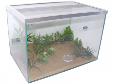 ANTSTORE Starter Set - Beckenvariante - 30x20