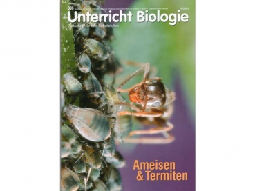 Booklet: Unterricht Biologie Ameisen & Termiten