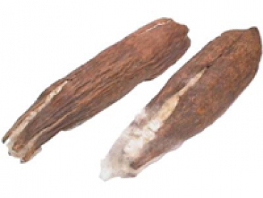 cotton pods / 2 pcs