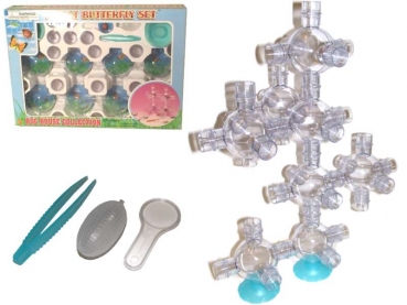 Ant farm 
