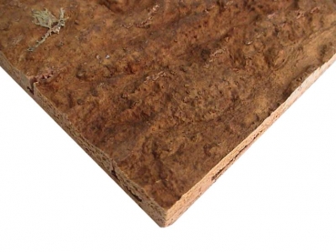 cork plate - desert 60x30 cm