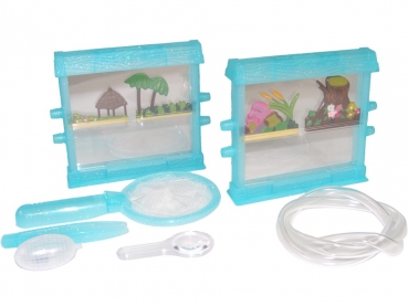 Ant-Display-Set 1