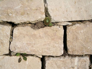 Rear wall 30x20cm stone 002