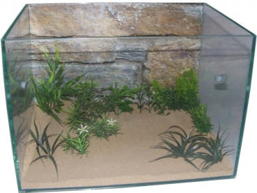 Rear wall 30x20cm stone 012