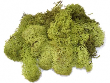 Island moss 50g dark green