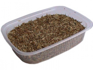 Gras-Samen 50g