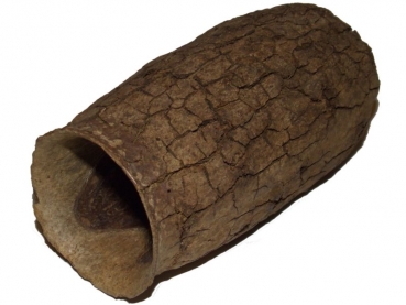 Jecetiba gro�