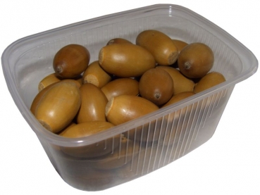 acorn 100gs