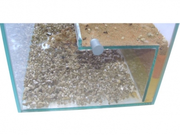 glass basin 30x20x20 cms apartment balcony