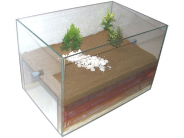 glass basin 30x20x20 cms dual apartment