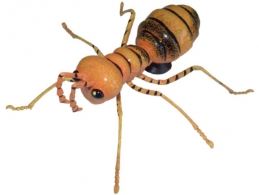 magnetic ant orange