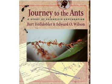 Buch: Journey to the Ants